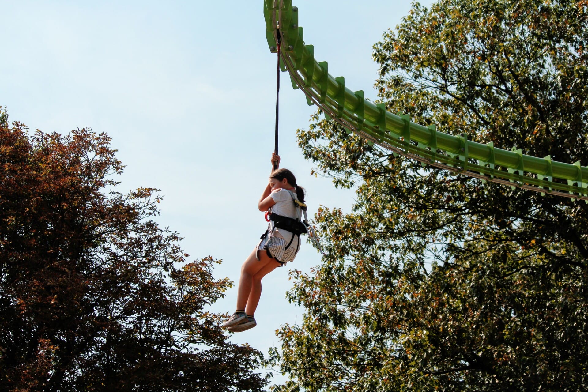 Live Fearless Wildworks Rope Course Philadelphia Zoo