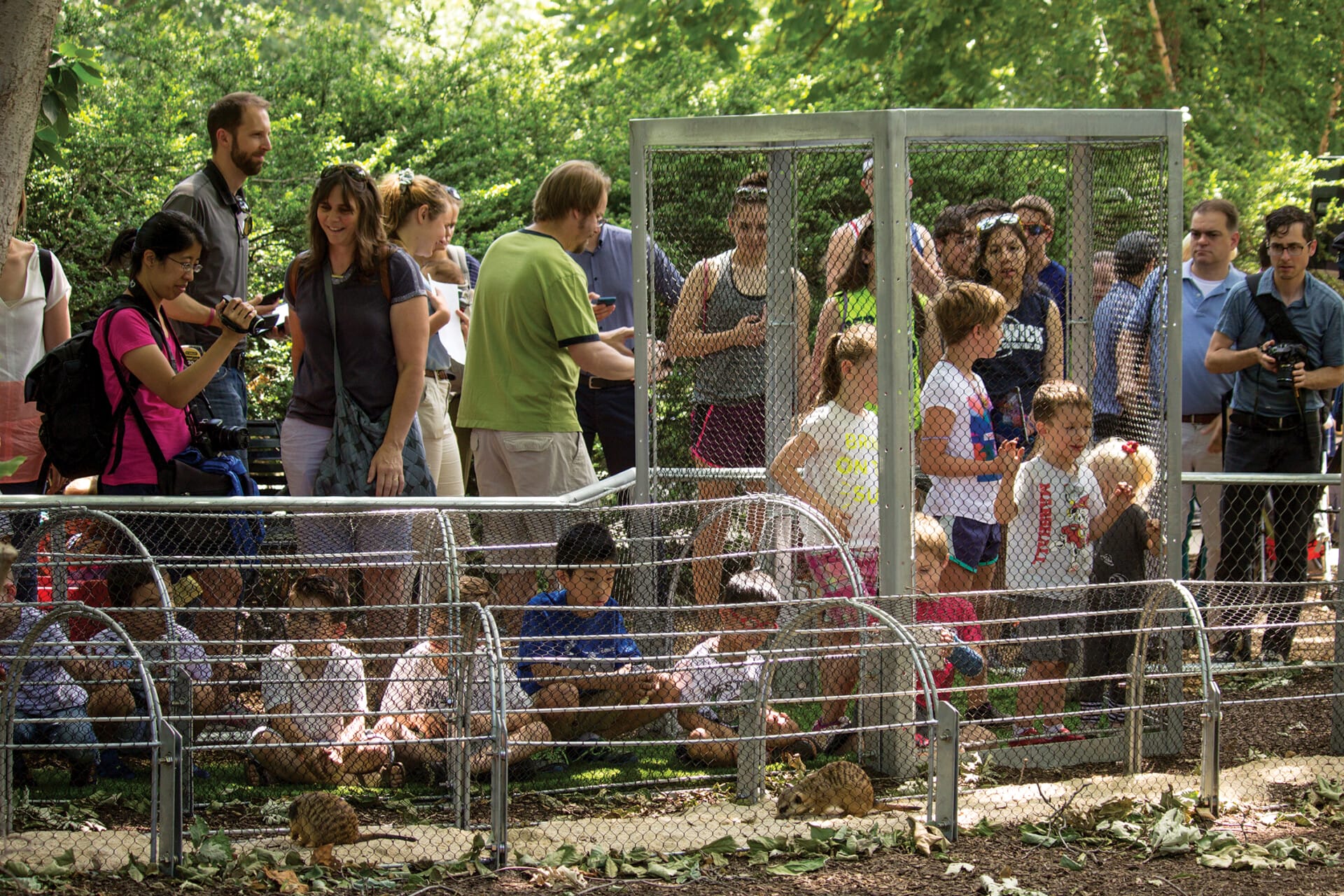MeerkatMaze PressEvent 9606