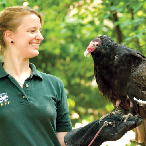 Experience the Zoo on Wheels Philadelphia Zoo