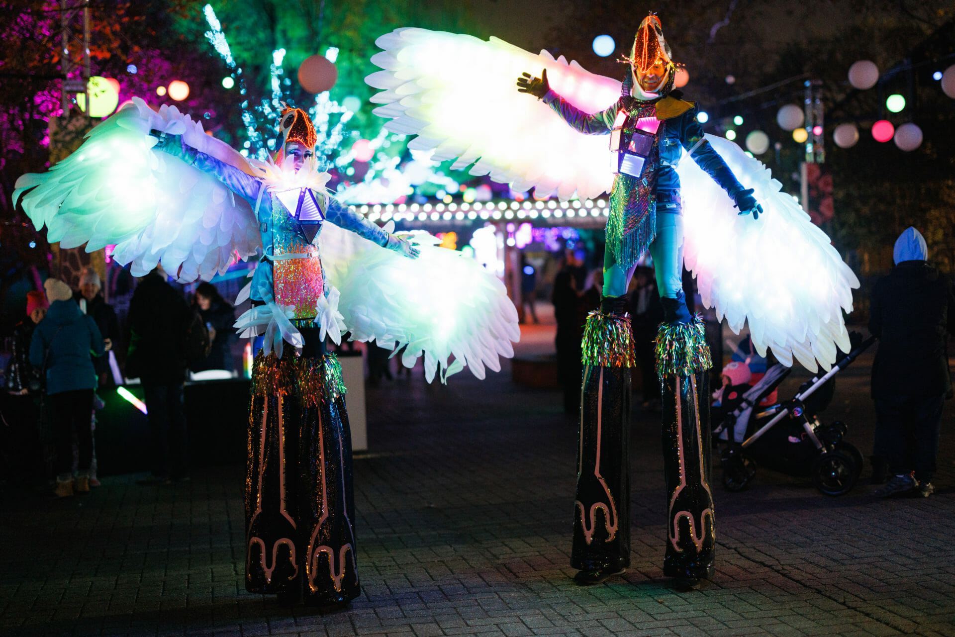 Events at the Zoo LumiNature Philadelphia Zoo