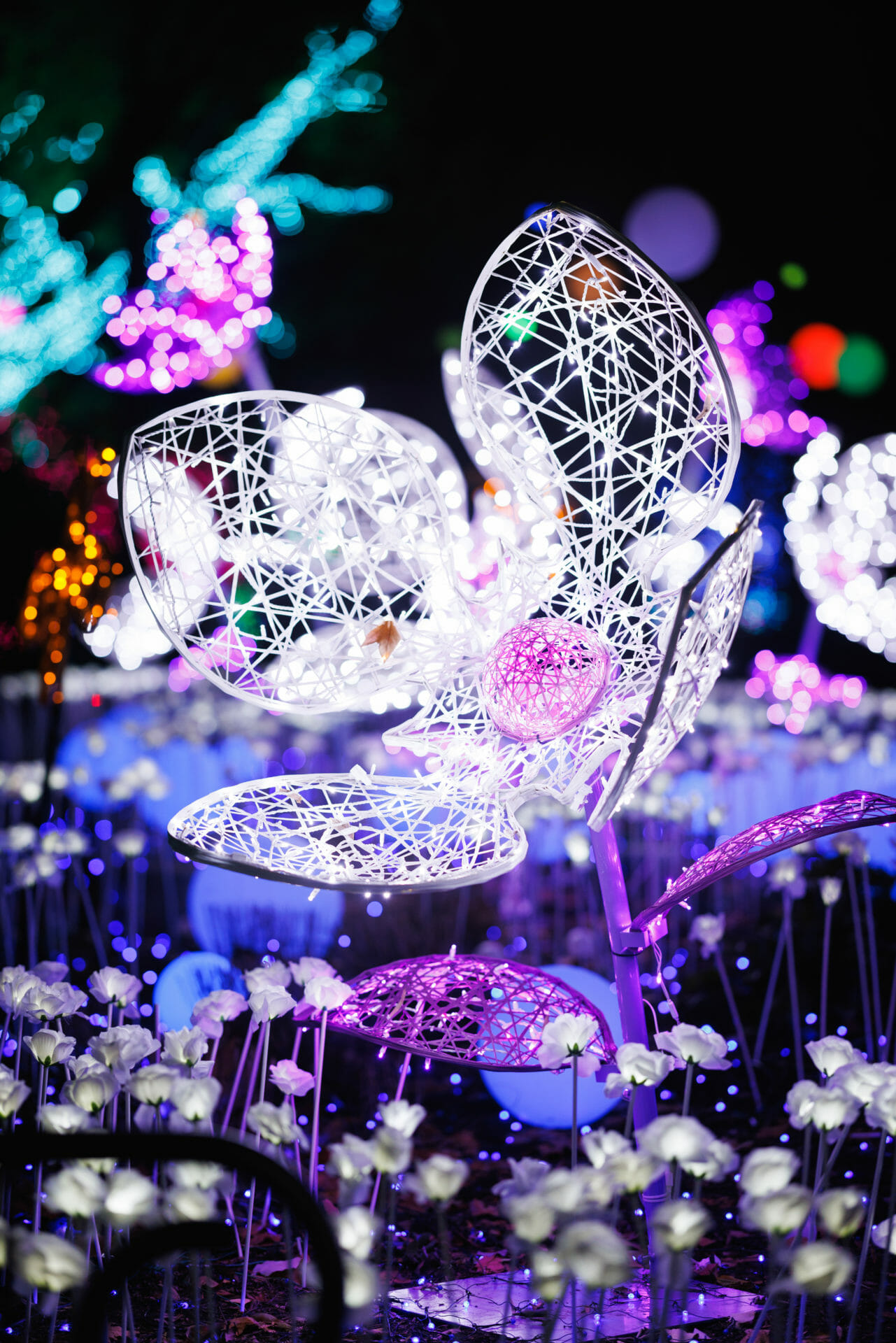 LumiNature 2022