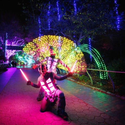 Discover America's First Zoo Philadelphia Zoo