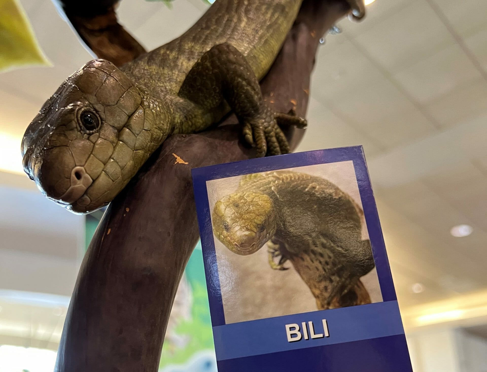Bili airport