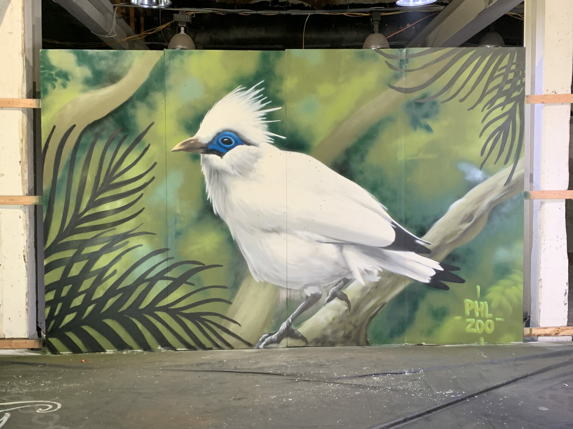 Walls of the Wildlife Bird