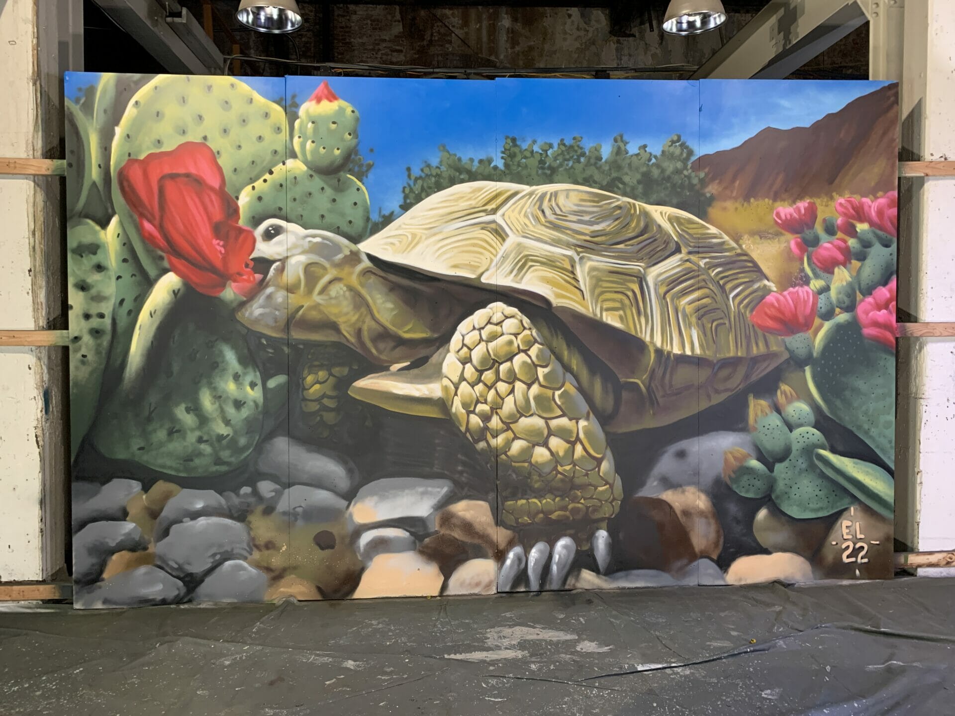 Walls of the Wildlife Tortoise