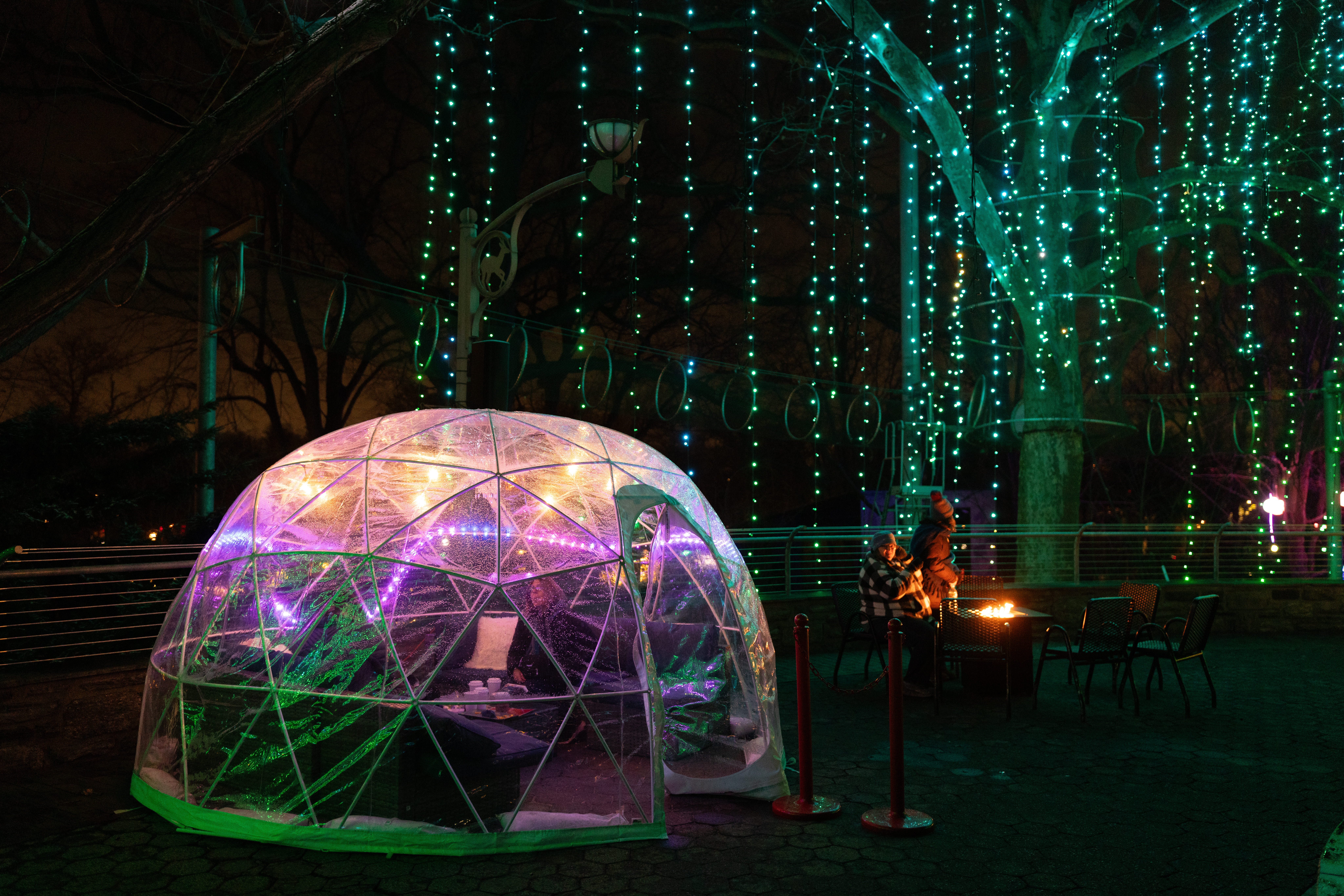 An igloo set up at Impala Plaza during LumiNature, Philadelphia Zoo's holiday light show.