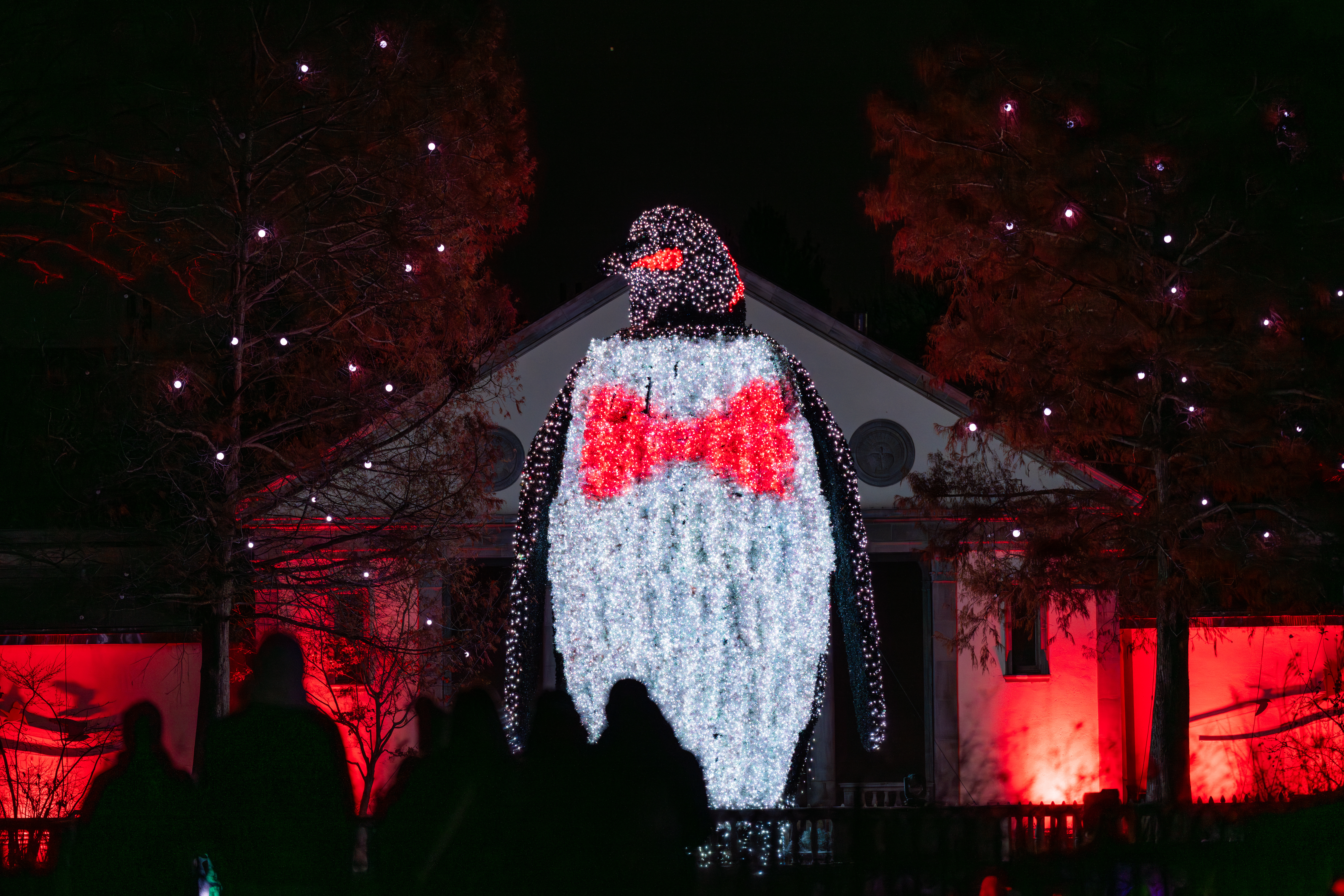 A group of guests stand in front of the giant illuminated penguin at LumiNature, Philadelphia Zoo's holiday light show.
