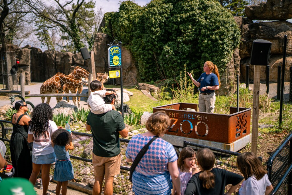 Philadelphia Zoo Construction Update