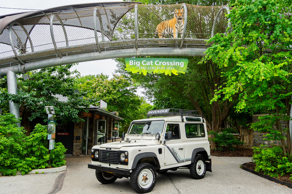 Philadelphia Zoo Car Show