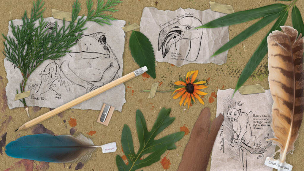 Wild Workshops