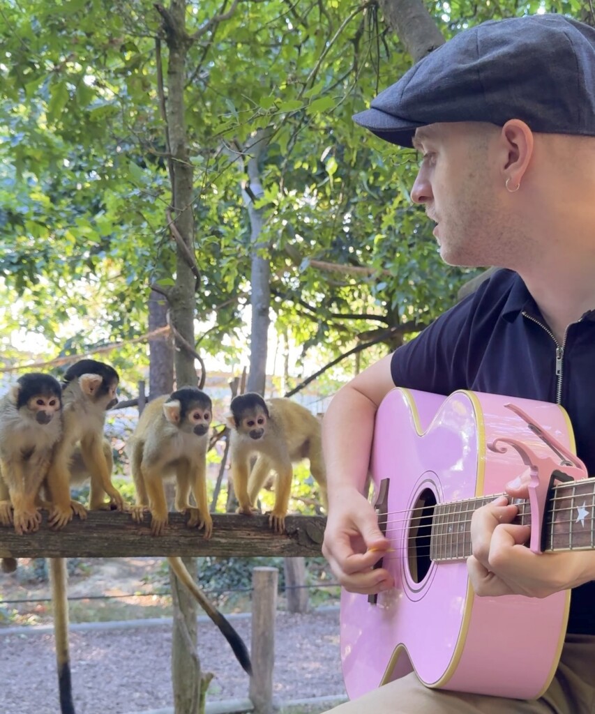 When Animals Listen: An Evening with PLUMES
