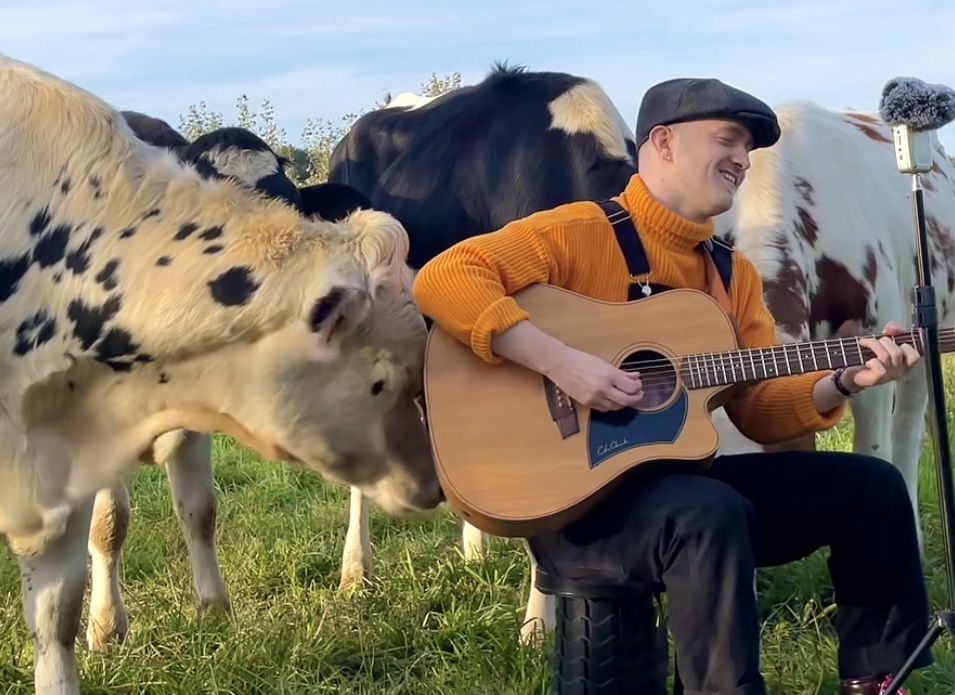 When Animals Listen: An Evening with PLUMES