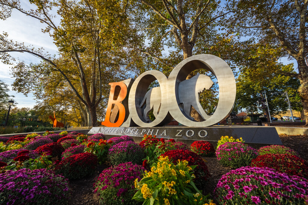 Boo at the Zoo
